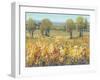 Golden Fields II-Tim O'toole-Framed Art Print