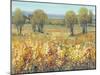 Golden Fields II-Tim O'toole-Mounted Art Print