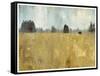 Golden Fields-Andrew Michaels-Framed Stretched Canvas