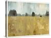 Golden Fields-Andrew Michaels-Stretched Canvas