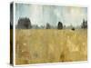 Golden Fields-Andrew Michaels-Stretched Canvas