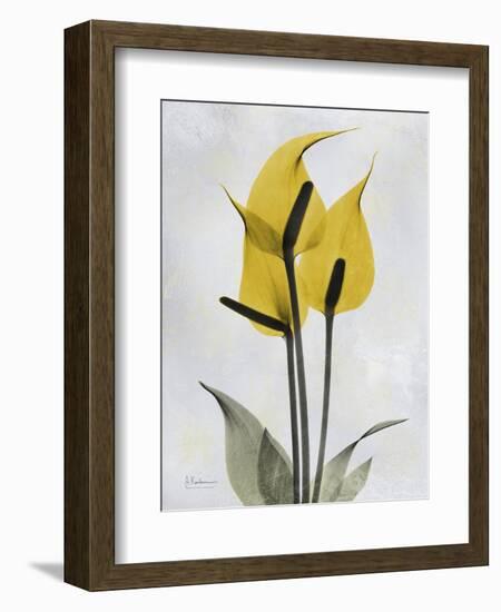 Golden Flamingo-Albert Koetsier-Framed Art Print