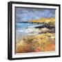 Golden Flash on the Headland-Anne Farrall Doyle-Framed Giclee Print