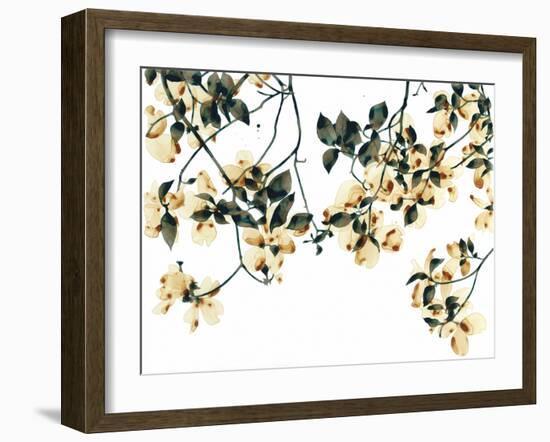 Golden Flourish-Jackie Battenfield-Framed Giclee Print