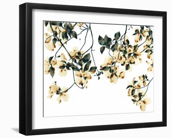 Golden Flourish-Jackie Battenfield-Framed Giclee Print