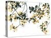 Golden Flourish-Jackie Battenfield-Stretched Canvas