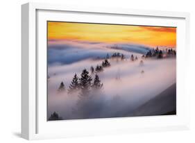 Golden Flow Fog Over Mount Tamalpais, Northern California-Vincent James-Framed Photographic Print