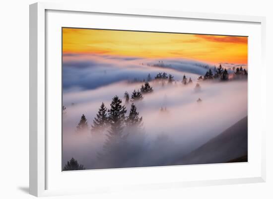 Golden Flow Fog Over Mount Tamalpais, Northern California-Vincent James-Framed Photographic Print