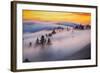 Golden Flow Fog Over Mount Tamalpais, Northern California-Vincent James-Framed Photographic Print