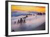 Golden Flow Fog Over Mount Tamalpais, Northern California-Vincent James-Framed Photographic Print