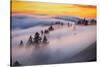 Golden Flow Fog Over Mount Tamalpais, Northern California-Vincent James-Stretched Canvas