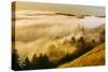 Golden Fog Landscape Mount Tamalpais San Francisco-Vincent James-Stretched Canvas