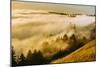 Golden Fog Landscape Mount Tamalpais San Francisco-Vincent James-Mounted Photographic Print