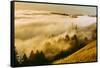 Golden Fog Landscape Mount Tamalpais San Francisco-Vincent James-Framed Stretched Canvas