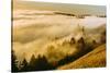 Golden Fog Landscape Mount Tamalpais San Francisco-Vincent James-Stretched Canvas