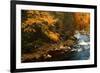 Golden foliage reflected in mountain creek, Smoky Mountain National Park, Tennessee, USA-Anna Miller-Framed Photographic Print