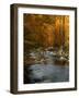 Golden foliage reflected in mountain creek, Smoky Mountain National Park, Tennessee, USA-Anna Miller-Framed Photographic Print