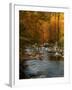 Golden foliage reflected in mountain creek, Smoky Mountain National Park, Tennessee, USA-Anna Miller-Framed Photographic Print