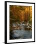 Golden foliage reflected in mountain creek, Smoky Mountain National Park, Tennessee, USA-Anna Miller-Framed Photographic Print