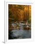 Golden foliage reflected in mountain creek, Smoky Mountain National Park, Tennessee, USA-Anna Miller-Framed Photographic Print