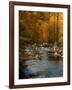 Golden foliage reflected in mountain creek, Smoky Mountain National Park, Tennessee, USA-Anna Miller-Framed Photographic Print