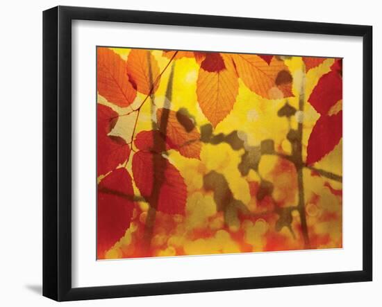 Golden Foliage-James McMasters-Framed Art Print