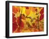 Golden Foliage-James McMasters-Framed Art Print