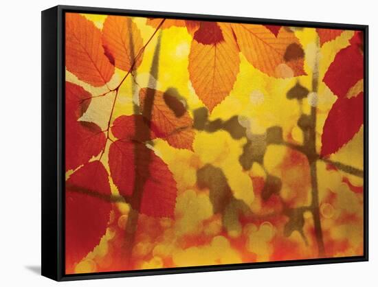 Golden Foliage-James McMasters-Framed Stretched Canvas