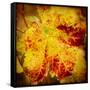 Golden Foliage-Jessica Rogers-Framed Stretched Canvas