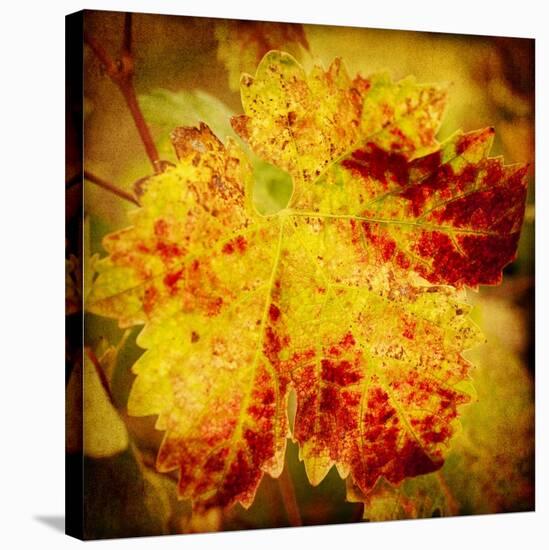 Golden Foliage-Jessica Rogers-Stretched Canvas