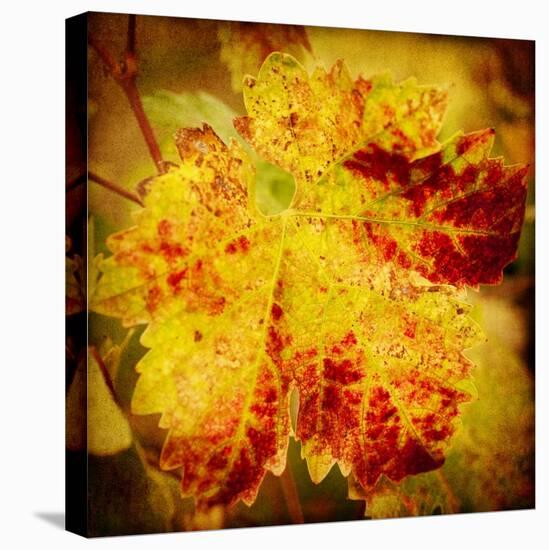 Golden Foliage-Jessica Rogers-Stretched Canvas