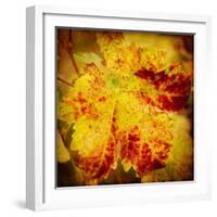 Golden Foliage-Jessica Rogers-Framed Giclee Print