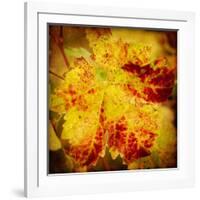 Golden Foliage-Jessica Rogers-Framed Giclee Print