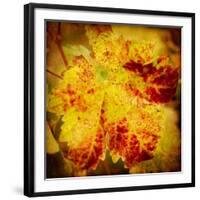 Golden Foliage-Jessica Rogers-Framed Giclee Print