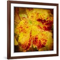 Golden Foliage-Jessica Rogers-Framed Giclee Print