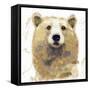 Golden Forest - Bear-null-Framed Stretched Canvas