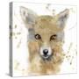 Golden Forest - Fox-null-Stretched Canvas