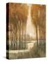 Golden Forest I-Tim OToole-Stretched Canvas