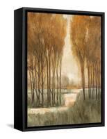 Golden Forest I-Tim OToole-Framed Stretched Canvas