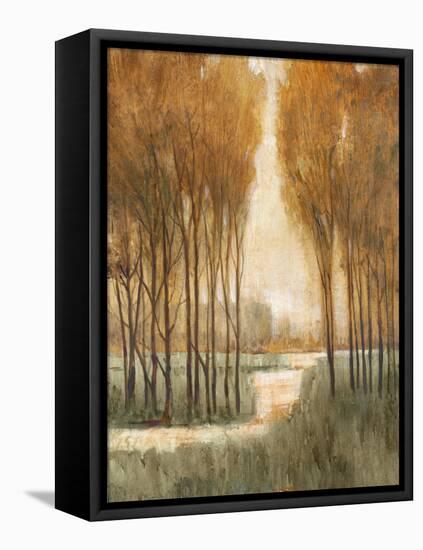 Golden Forest I-Tim OToole-Framed Stretched Canvas