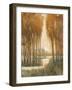 Golden Forest I-Tim OToole-Framed Art Print