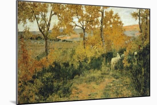 Golden Forest in Montemiccioli, 1891-Niccolo Cannicci-Mounted Giclee Print