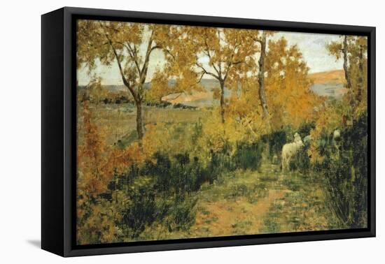 Golden Forest in Montemiccioli, 1891-Niccolo Cannicci-Framed Stretched Canvas
