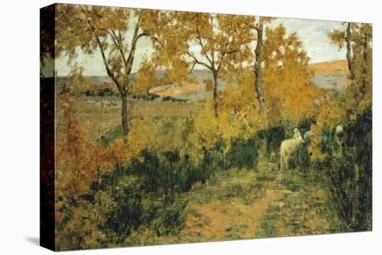 Golden Forest in Montemiccioli, 1891-Niccolo Cannicci-Stretched Canvas