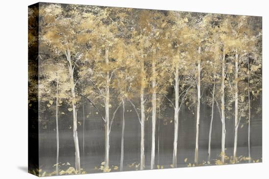 Golden Forest Light-Isabelle Z-Stretched Canvas