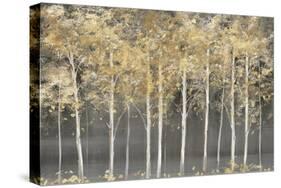 Golden Forest Light-Isabelle Z-Stretched Canvas