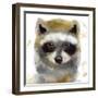 Golden Forest - Raccoon-null-Framed Giclee Print