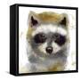 Golden Forest - Raccoon-null-Framed Stretched Canvas