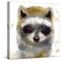 Golden Forest - Raccoon-null-Stretched Canvas