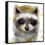 Golden Forest - Raccoon-null-Framed Stretched Canvas